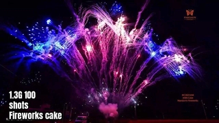 Bánh pháo hoa trình diễn chuyên nghiệp Liuyang 100 Shot 1.3G UN0335 pháo hoa