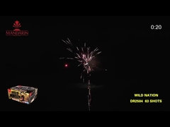 63 Shots New Item Rapid Tails Shooting Cake Fireworks