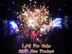 Liuyang 200 shot cake pháo hoa ngoài trời 1.4G Pro cake pyrotechnics 1000G pháo hoa