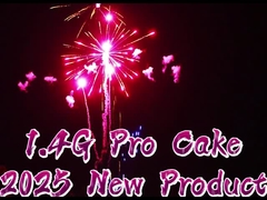1.4G Outdoor 300 Shots Cake Fireworks Sky Shot Fireworks Fireworks Crackers Giáng sinh Pyro Fireworks Cho S