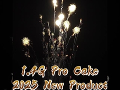 Trung Quốc 210 Shots 1000g Cake FIreworks US 1.4 Pro Thợ bắn pháo hoa ngoài trời tùy chỉnh