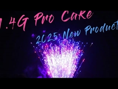 Nhà máy 100 shot 1.4 1000G Cake pháo hoa chất lượng cao Outdoor Occasion Big Cake pháo hoa