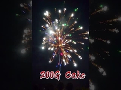 Xuất khẩu Trung Quốc chất lượng cao 16 shot 200g bánh pháo hoa 1.4g Un0336 pháo hoa