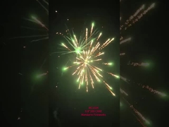 Tùy chỉnh 0.8 Inch 20 Shots Cake Fireworks Pyrotechnics cho các yêu cầu ngoài trời và người tiêu dùng 2024