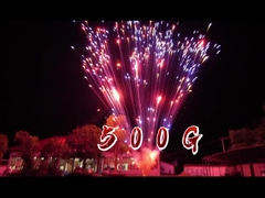 Phong trào pháo hoa Phong trào pháo hoa Trung Quốc Nhà máy 1.2 Inch 24 Shots Cake Fireworks For Celebration