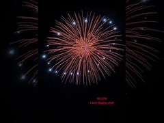 Trung Quốc chuyên nghiệp hiển thị vỏ lửa pháo hoa Pyrotechnics 6 inch hiển thị vỏ bóng