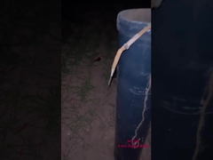 Bức pháo hoa chuyên nghiệp của Trung Quốc cho lễ kỷ niệm năm mới