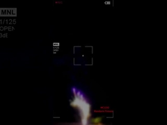 Phong trào pháo hoa Mandarin Phong trào pháo hoa Liuyang Bánh bánh chuyên nghiệp Phong trào pháo hoa Trung Quốc