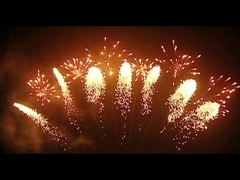 Pháo hoa tiếng phổ thông Pháo hoa 65 phát Pháo hoa hình quạt