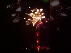 Pháo hoa Lưu Dương Pháo hoa 196 lượt Bắn pháo hoa bánh chuyên nghiệp Trình diễn hiệu ứng đặc biệt