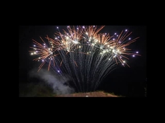 Tiếng phổ thông 1,3g Pháo hoa 13 phát Pháo hoa một hàng chuyên nghiệp