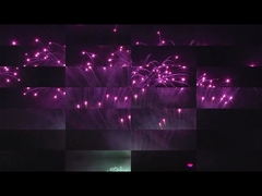 Liuyang Chúc mừng bánh nướng Pyrotechnics 208 Shots Professional Display Fireworks 1.3g