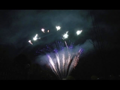 Màn hình Mandarin 90 shot Salute Pyrotechnics chuyên nghiệp Cake Fireworks Cho Party