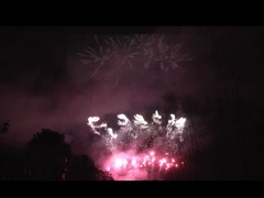 Liuyang 56 Shots Professional Fireworks Display 1.3g Un0335 Cho lễ hội