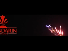 Ngày sinh nhật chuyên nghiệp pháo hoa hiển thị tùy chỉnh 100 shot bánh pháo hoa