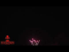 1.3g Un0335 Professional Fireworks Display / 100 Shots Cake Fireworks Cho Năm Mới