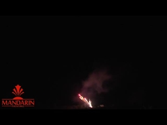 100 Shots Professional Fireworks Display Hình ảnh hình Z