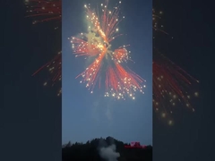 Liuyang Silver Ponytail Fireworks Cakes 2024 Nhà máy Trung Quốc pháo hoa & pháo hoa Consumer Cakes