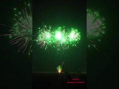 Báo pháo hoa 2024 trực tuyến trực tiếp Trung Quốc nhập khẩu nhà máy bán buôn bánh tiêu dùng pháo hoa