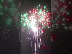Sản phẩm bán buôn Lợn Howling Pyrotechnics Cake Fireworks 2024 Giá tốt