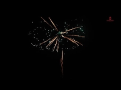 Trung Quốc trực tiếp nhập khẩu 128 shot bánh tiêu dùng pháo hoa cho lễ kỷ niệm