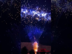Tiếng Trung Quốc Bánh nướng theo yêu cầu Pyrotechnics Consumer Cake Fireworks Trung Quốc Salute