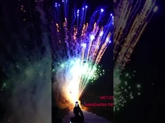 Trung Quốc ngoài trời tiêu dùng pyrotechnic bánh pháo hoa cho lễ hội kỷ niệm
