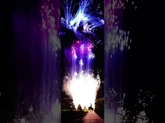 Trung Quốc tùy chỉnh 100 shot pyrotechnic bánh tiêu dùng pháo hoa cho năm mới