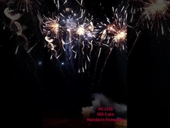 Trung Quốc Pyrotechnics 98 Shots Consumer Giáng sinh Năm mới Cake Báo pháo hoa & pháo hoa