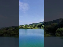 Ban ngày 49 phát Pháo hoa bánh Trung Quốc Pháo hoa khói màu cho lễ kỷ niệm