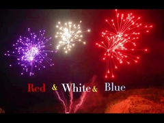 Trung Quốc Liuyang chuyên nghiệp 108 shot bánh pháo hoa 1.4g Un0336