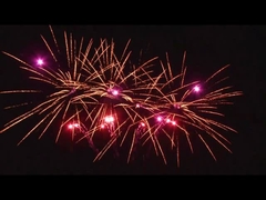 Ngoài trời 20 Shots Lễ kỷ niệm bánh pyrotechnics Fan hình tùy chỉnh 1.4g