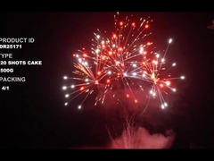 Liuyang 20 shot 500g bánh nướng theo yêu thích pháo hoa cho năm mới