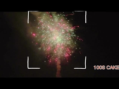 Người tiêu dùng tiếng Trung Quốc chào mừng Hunan pháo hoa Pyrotechnics 100 Shot Cake pháo hoa