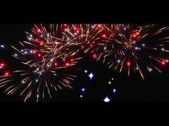 Trung Quốc 25 Shots Fan Cake pháo hoa cho lễ kỷ niệm Custom Outdoor Fireworks