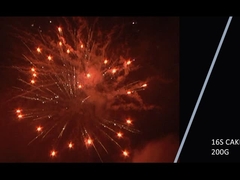 Tiếng Trung 2021 mới 16 shot 200g Cake Fireworks For Celebration Party