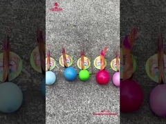 Trung Quốc Nhà máy trẻ em pháo hoa Liuyang Swan đẻ trứng pháo hoa mới lạ đồ chơi vui vẻ pháo hoa cho Ch