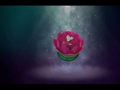 Đồ chơi sinh nhật Đồ chơi pháo hoa