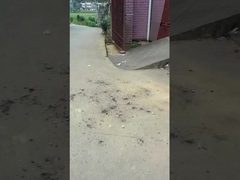 Magic Balls Toy Firework 0.03CBM Bảo vệ môi trường cho các cuộc họp kỷ niệm