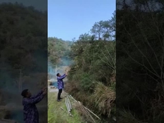 Tiệc tiết lộ giới tính Popper Confetti Cannon, Holi Powder Cannon cho đám cưới