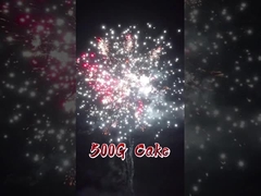 Liuyang Factory 20 Shots Cake Firework Trung Quốc bán buôn Xuất khẩu Pyrotechnics Cho Đám cưới