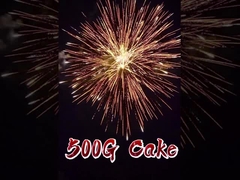 Pháo hoa Liuyang Pyrotechnics 2 Inch 12 Shots 500g Consumer Cake Pháo hoa để ăn mừng