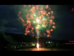 Lửa pháo hoa Mandarin 1.3g Un0335 Lửa pháo hoa chuyên nghiệp