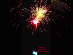 Fuochi D'Artificio Hàng xưởng pyrotechnics 128 shot bánh tiêu dùng pháo hoa Feuerwerk pyrotechnia