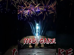 118 Shots Thức ăn bánh pháo hoa Lễ cưới Lễ hội pháo hoa Cake Pyrotechnics Lễ hội