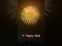 Lễ hội và Lễ kỷ niệm 2