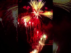 Nhà máy Liuyang Mandarin tùy chỉnh 178 Shots Pyrotechnics 1.4G Consumer Cake Bức pháo hoa cho năm mới