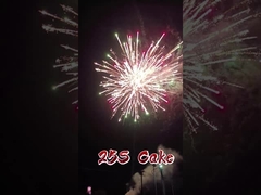 Liuyang Mandarin Factory Sản phẩm bán buôn giấy pháo hoa 1.4g Pyrotechnics 2 inch 25 Shots Cake pháo hoa