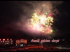 Bức pháo hoa mới