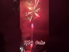 Nhà máy Liuyang 116 Bắn Pháo hoa Bán buôn Pháo hoa Pyrotechnics Bánh Pháo hoa Trung Quốc Ngoài trời